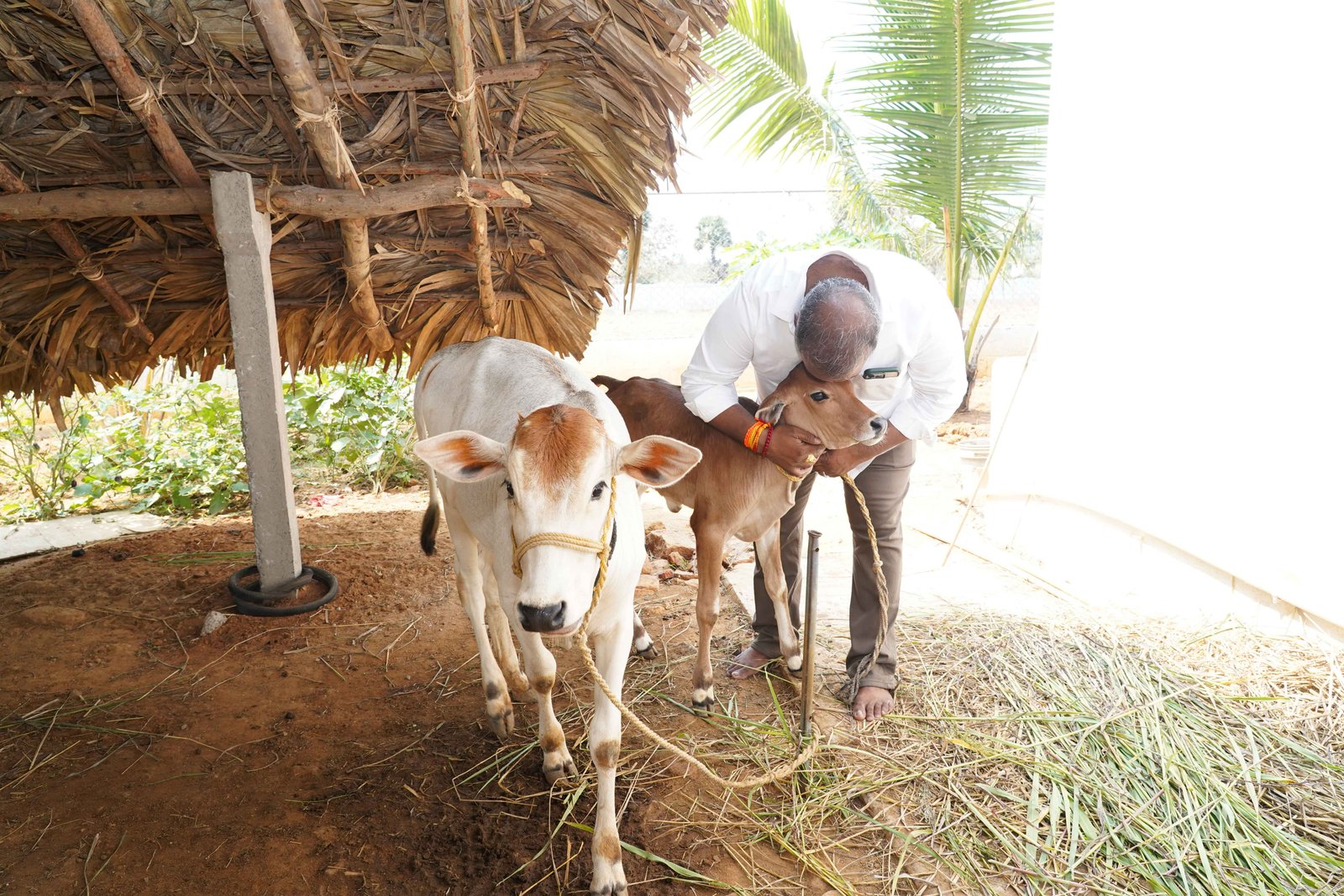 sundarapu vijay kumar